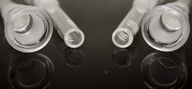 5ct 2.5" 19-19 Female Stem