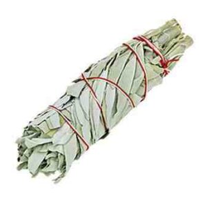 10ct Sage Smudge Stick - California White Sage 4"L