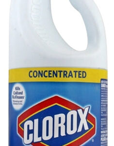 Clorox Safe Can 1.89L - Large