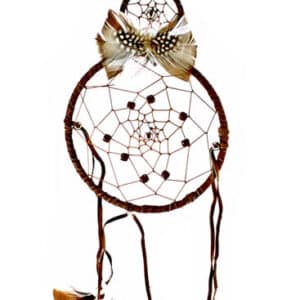 6" Dreamcatcher No.DC-113