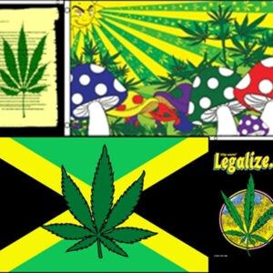 5ct 3x5ft Leaf Flag Assortment