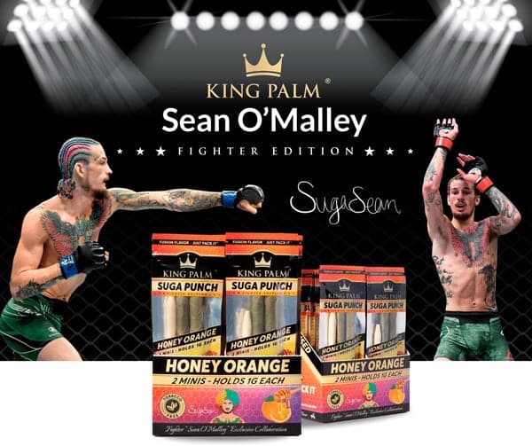 King Palm Mini Rolls - Suga Punch Fighter Edition - Honey Orange - Image 5
