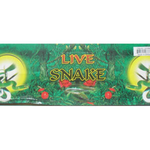 Live Snake