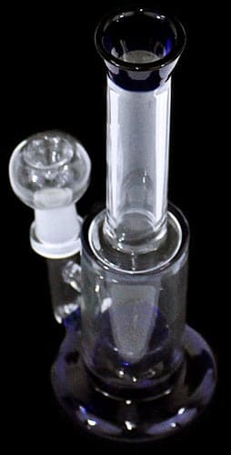 8" Shower Perk Straight Water Pipe With Female Bowl
