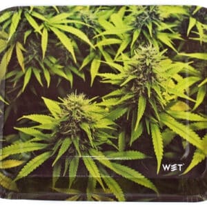 Wet Industry Disposable 6pk Rolling Trays - Flower Room