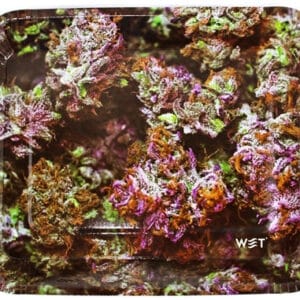 Wet Industry Disposable 6pk Rolling Trays - Purple Haze