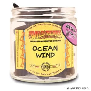 Wild Berry Backflow Incense Cones 25pk - Ocean Wind