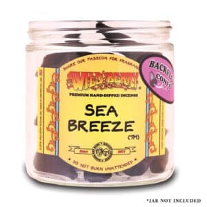 Wild Berry Backflow Incense Cones 25pk - Sea Breeze