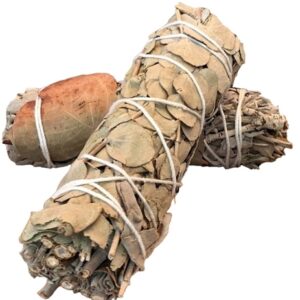 10ct White Sage – Eucalyptus Baby