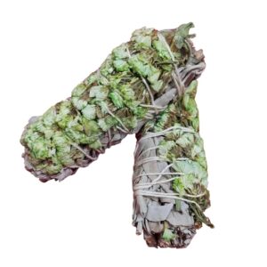 10ct White Sage – Green Sinuata