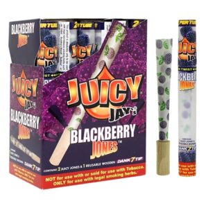 Juicy Jay's Blackberry Jones Cones 24pk