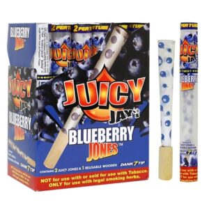 Juicy Jay's Blueberry Jones Cones 24pk
