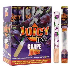 Juicy Jay's Grape Jones Cones 24pk