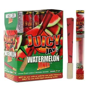 Juicy Jay’s Watermelon Jones Cones 24pk