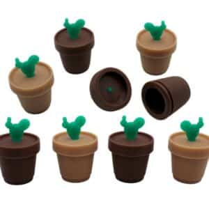 50ct Cactus Silicone Stash Jar